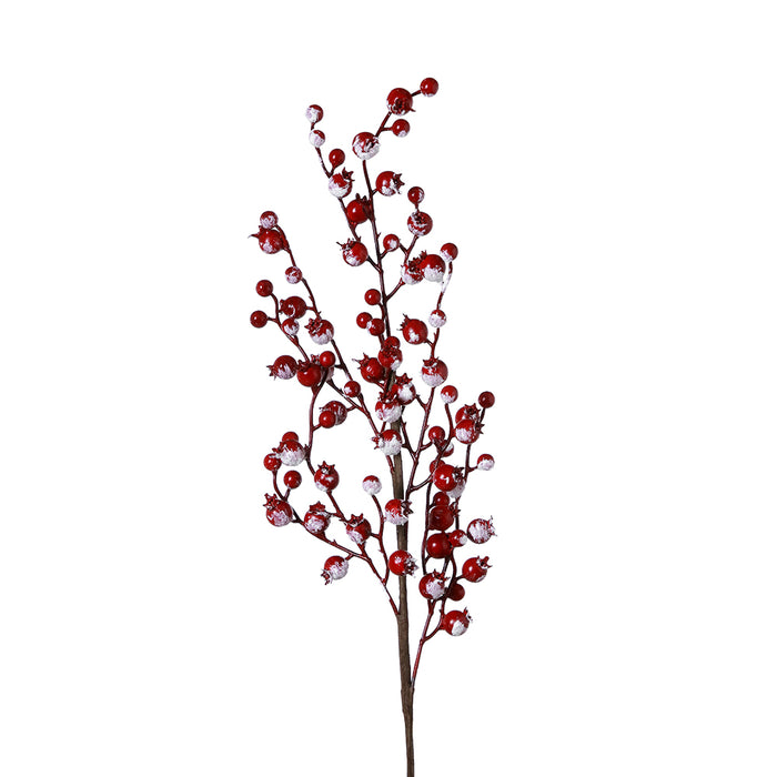 XH2341 Rama Berries Summer Frost 75 Cm.