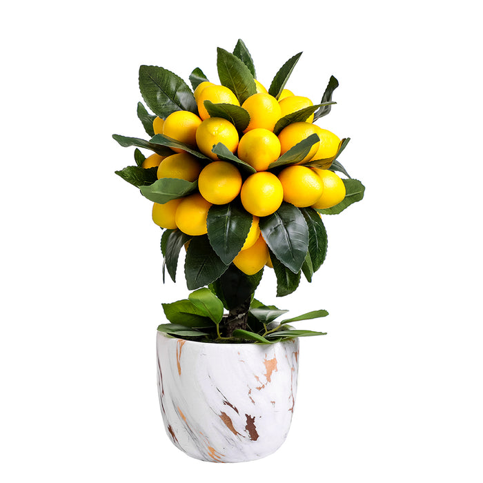 AL0004 Topiario Limones en Maceta 40 cm .