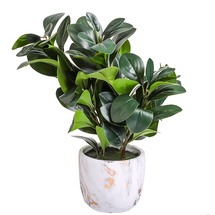 AL0069 Arreglo Follaje en Maceta Blanca 45 cm.