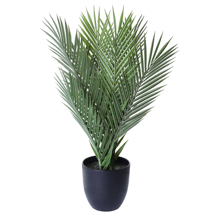 AL0133 Palma Areca en Maceta 60 cm.