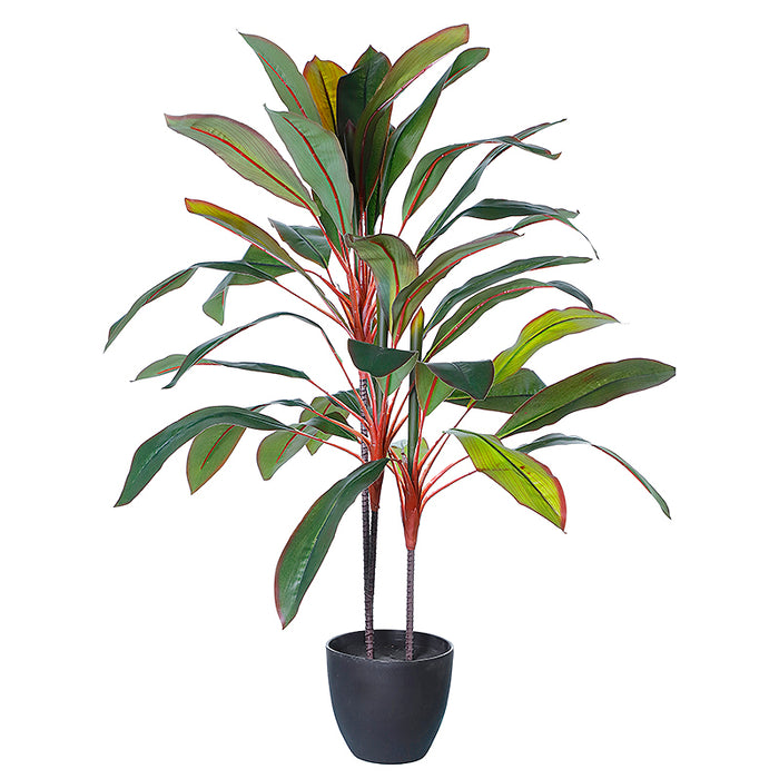 AL0151 Arbol Dracaena Roja en Maceta 100 cm.
