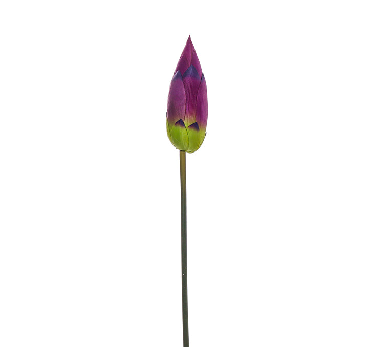 GT0122P Capullo de Loto Morado 80cm.