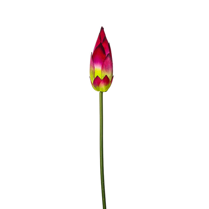 GT0122R Capullo de Loto Rojo 80 cm.