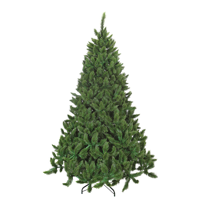 TT132 Pino Zilina Fir 228 Cm. C/964Puntas Y 155(D) Cm.