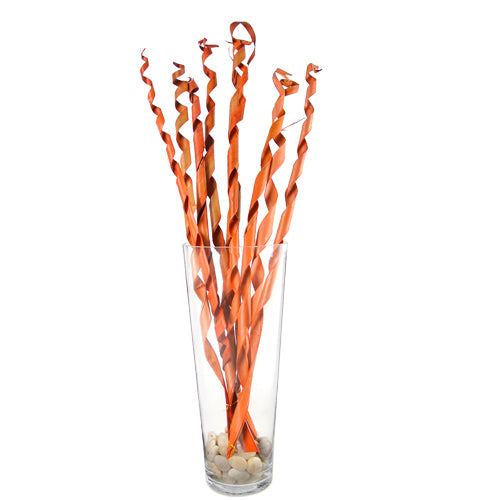 VI234NA Palma Curly Naranja 85 cm.