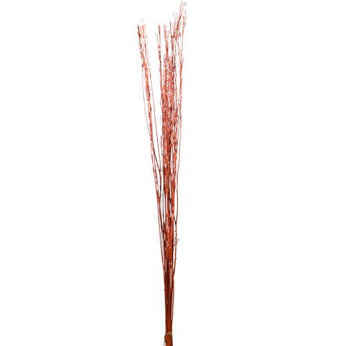 VI3746 Follaje Sarso Naranja 100 cm