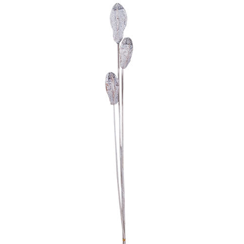 VI3777 Set 3 Vara Semilla Caoba Talco 69 cm.