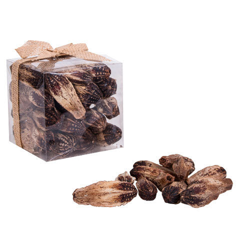 VI4403 Caja Regalo Semilla Caoba 14 cm