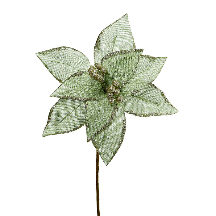 XH269 Nochebuena Verde Sage Y Oro 28(D)X48(A) Cm.
