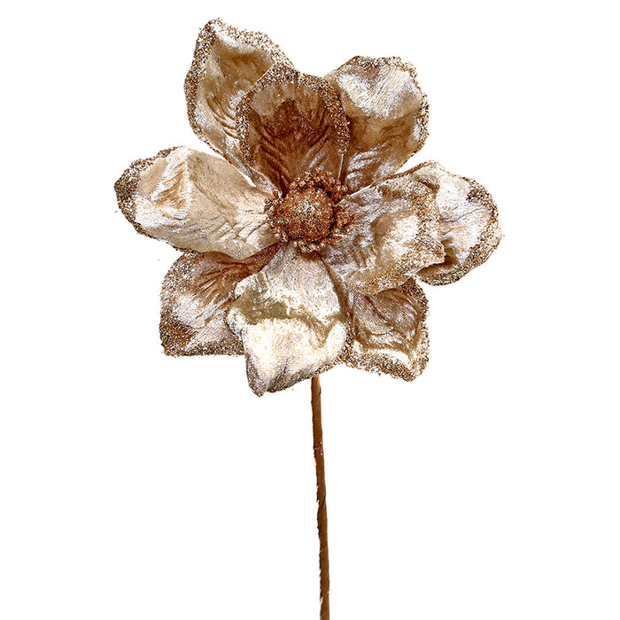XH329CFM Magnolia Café Frost Mediana 20(D)X33(A) Cm.