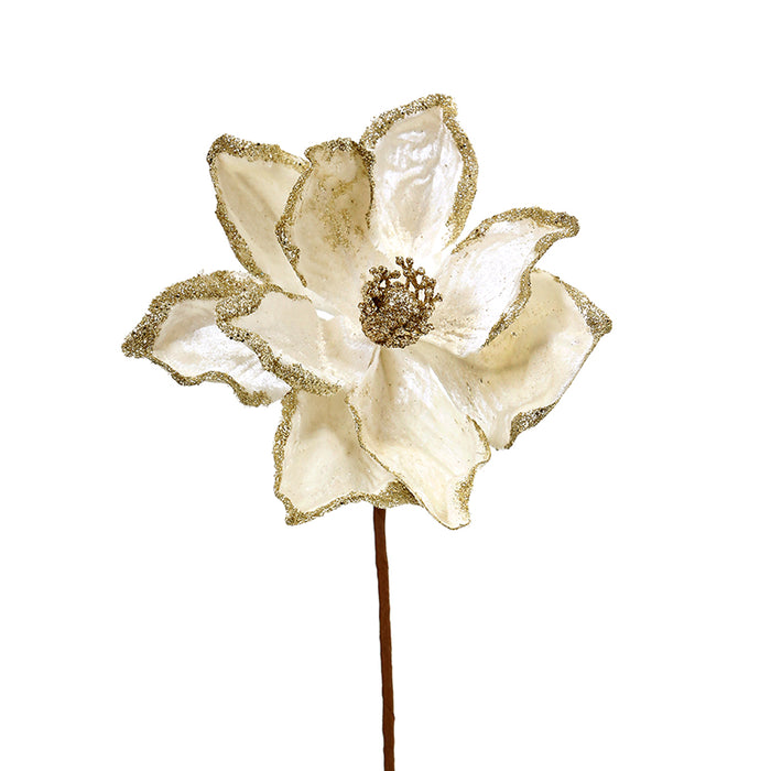 XH329M Magnolia Crema Frost Mediana 20(D)X33(A) Cm.