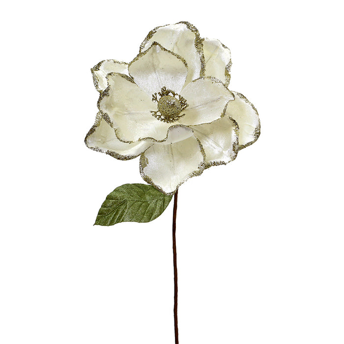 XH332CM Magnolia Crema Frost Grande 29(D)X65(A) Cm.