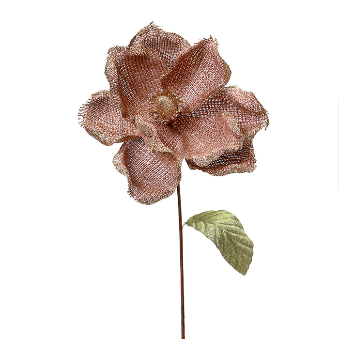 XH338G Magnolia Café Frost Grande 29(D)X65(A) Cm.