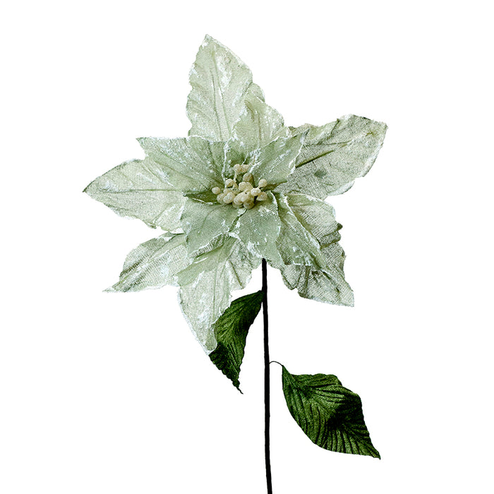 XH765 Nochebuena Verde Sage Frost Grande 36(D)x72(A) Cm.