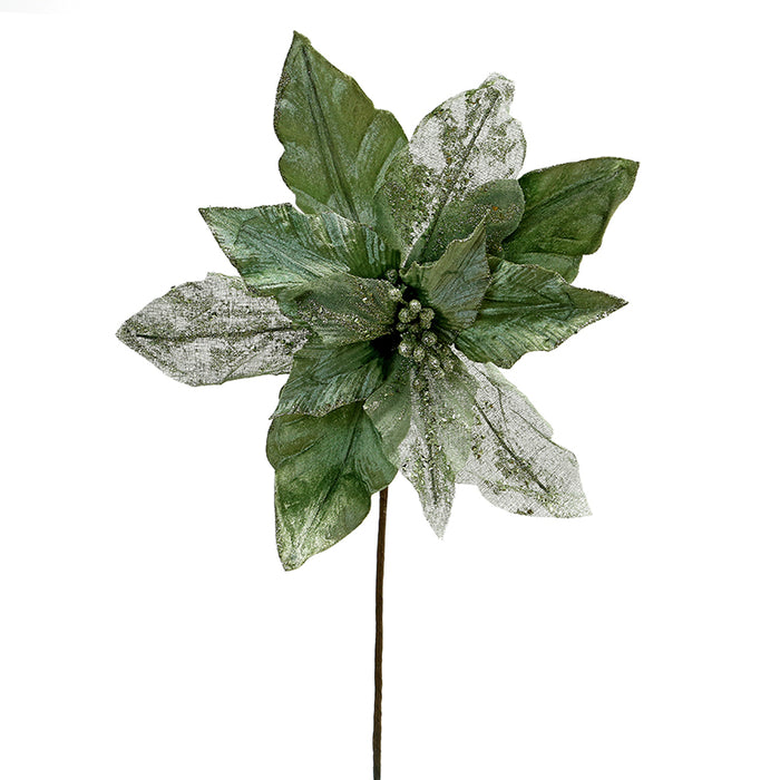 XH768 Nochebuena Filigrana Verde Extra Grande 36(D)X52(A) Cm.