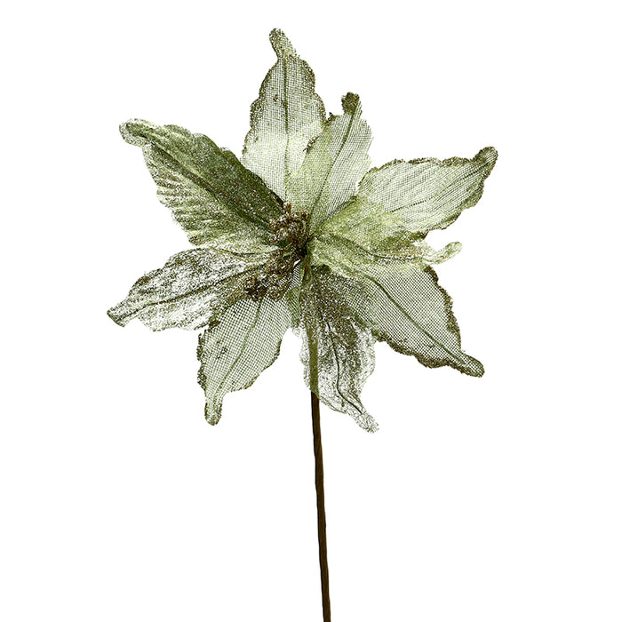 XH812 Nochebuena Verde Frost Chica 29(D)X48(A) Cm.