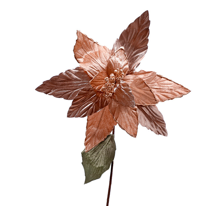 XH89M Nochebuena Oro Rosado Mediana 36(D)X63(A) Cm.