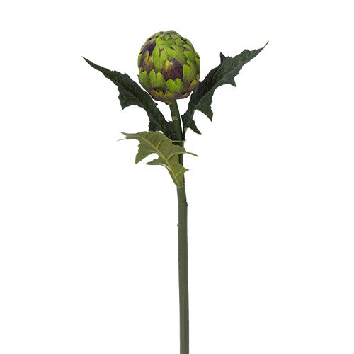 YD17 Rama Alcachofa 63 cm .