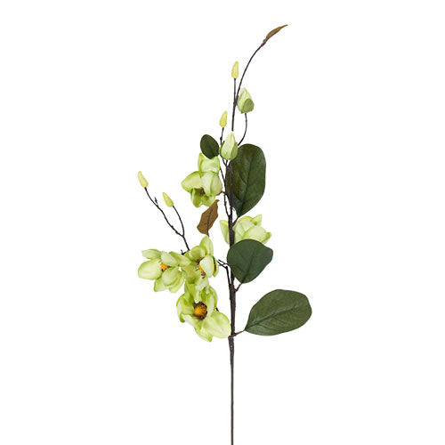 YD1888V Arreglo Magnolia Verde Primavera 75 cm .