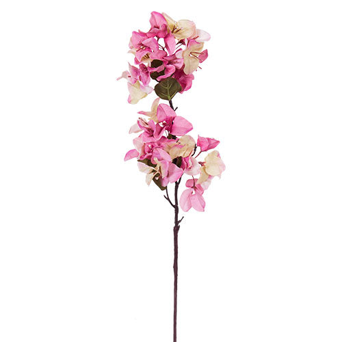 YD443M Rama Bugambilias Magenta 60 cm .