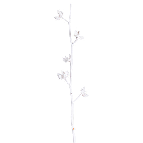 YS750 Rama Decorativa Natural 72 cm .
