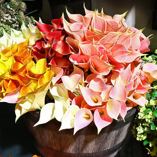 Flores y Follaje