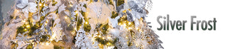 Silver Frost