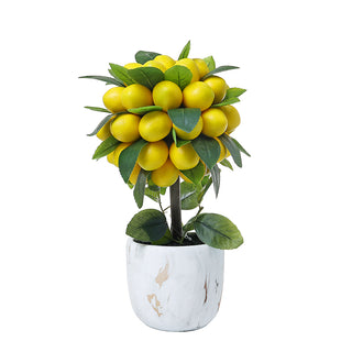 AL50004 Topiario Limones en Maceta 40cm.