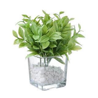 AL50336 Arreglo Follaje Verde con Maceta de Vidrio Transparente 25cm.