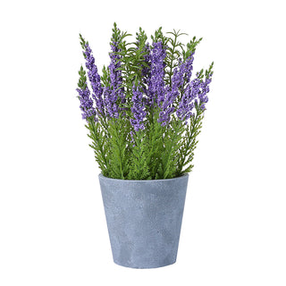 AL50339 Arreglo Follaje Lavanda con Maceta de Plástico Gris 28cm.