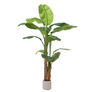 AL50646 Árbol de Plátano con Maceta de Plástico Beige 210cm.