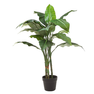AL53218 Árbol Evergreen con Maceta de Plástico Negra 90cm.
