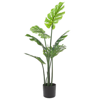 AL53437 Árbol Monstera Grande con Maceta de Plástico Negra 110cm.