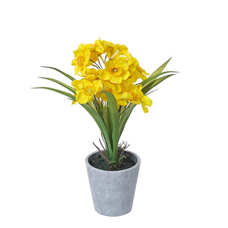 AL5351Y Arreglo 24 Flores Narciso Amarillo con Maceta de Plástico Gris 34cm.