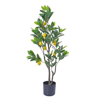 AL53635B Árbol de Lima Chico con Maceta de Plástico Negra 90cm.