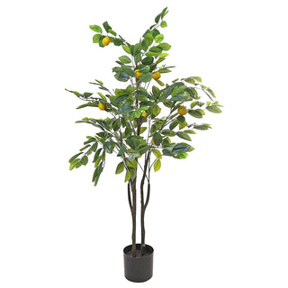 AL54028 Árbol de Lima Mediano con Maceta de Plástico Negra 122cm.