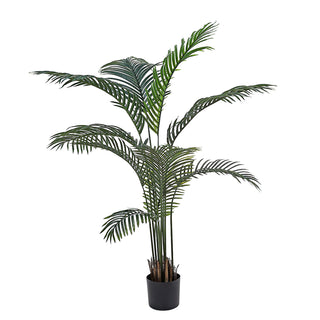 AL54040  Palma Areca Mediana con Maceta de Plástico Negra 152cm.