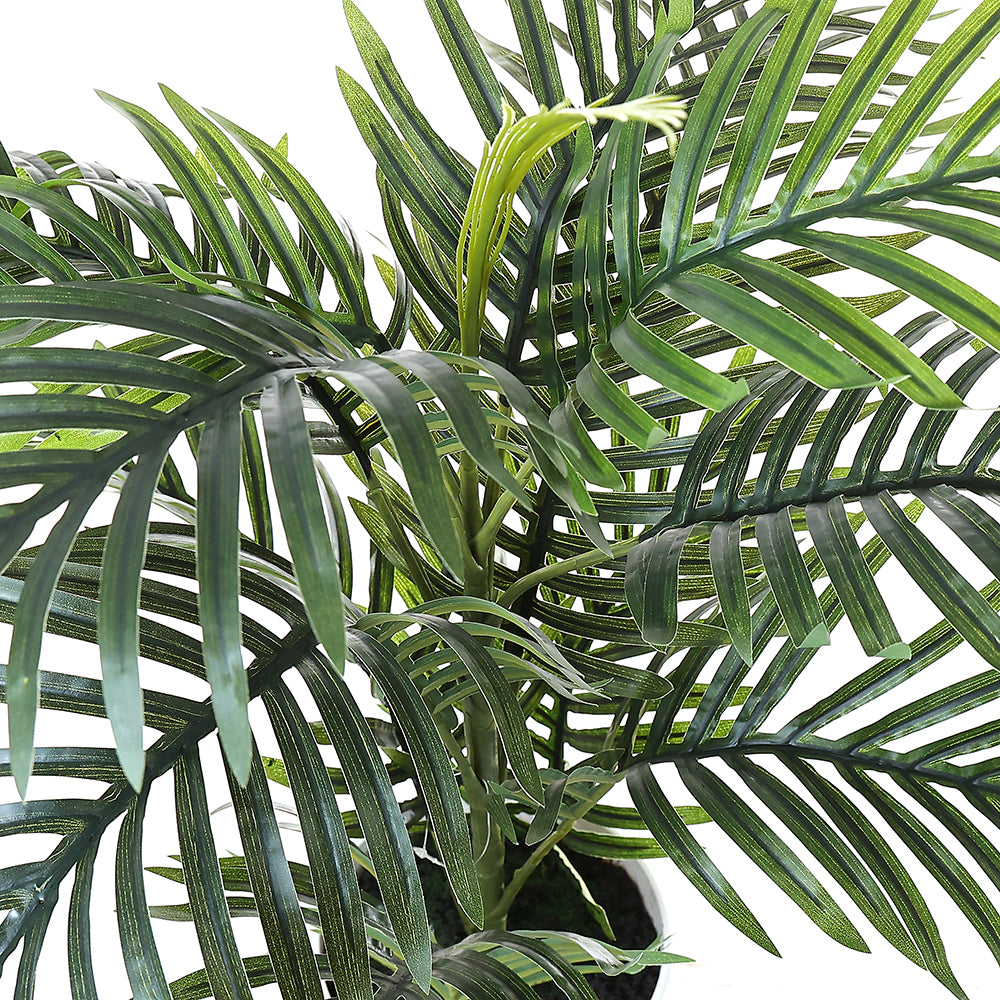 palma blanca planta AL54088 Palma Areca Chica con Maceta de Plástico Blanca 75cm. – Chelsea Loft