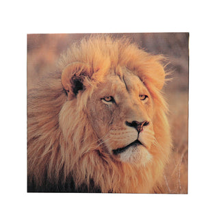 FB074A Oleografia León 40x40x1.8 cm.