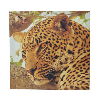 FB1048 Oleografia Leopardo 40x40x1.8 cm.