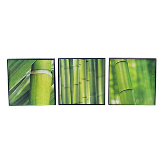 FB507 SET DE 3 BAMBU 20X20CM