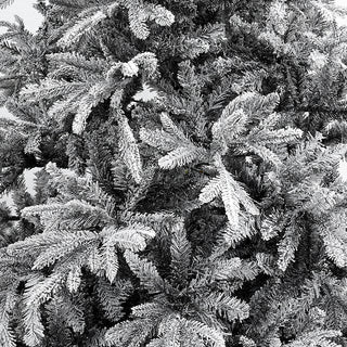 Pino Aspen Negro Nevado 270cm y 3545 puntas