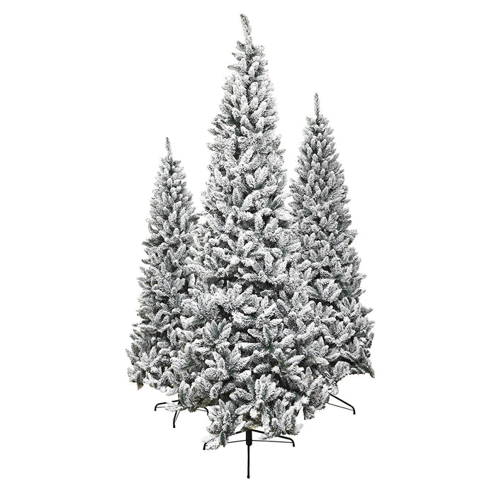 LUGP888 Pino St. Moritz SLIM 210 cm. 888 puntas