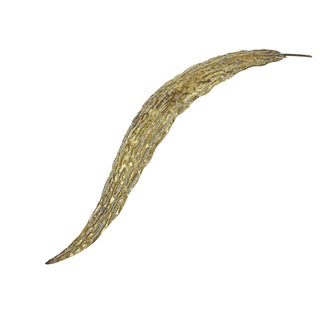 MQ3039O Hoja Metal Angosta Oro 7x76cm.