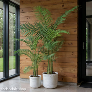 AL54040  Palma Areca Mediana con Maceta de Plástico Negra 152cm.