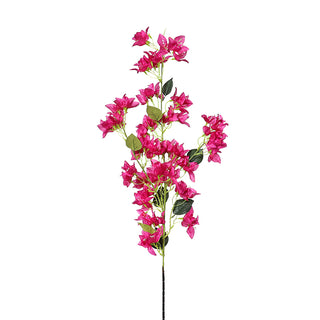 SR24BU Rama Bugambilia 105 Cm