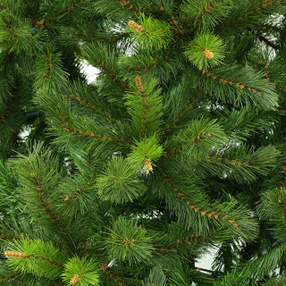 TT102 Pino Zurich Dark Green, 305 cm. (A) 182.88 cms. (D)
