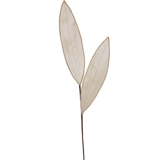 XH007CR Rama 2 Hojas Terciopelo Crema con Ribete 89 cm.