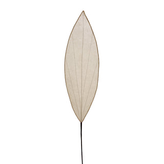 XH062CR Rama Gran Hoja Terciopelo Crema con Ribete 106 cm.