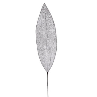 XH062P Rama Gran Hoja Plata Frost con Ribete 106 cm.